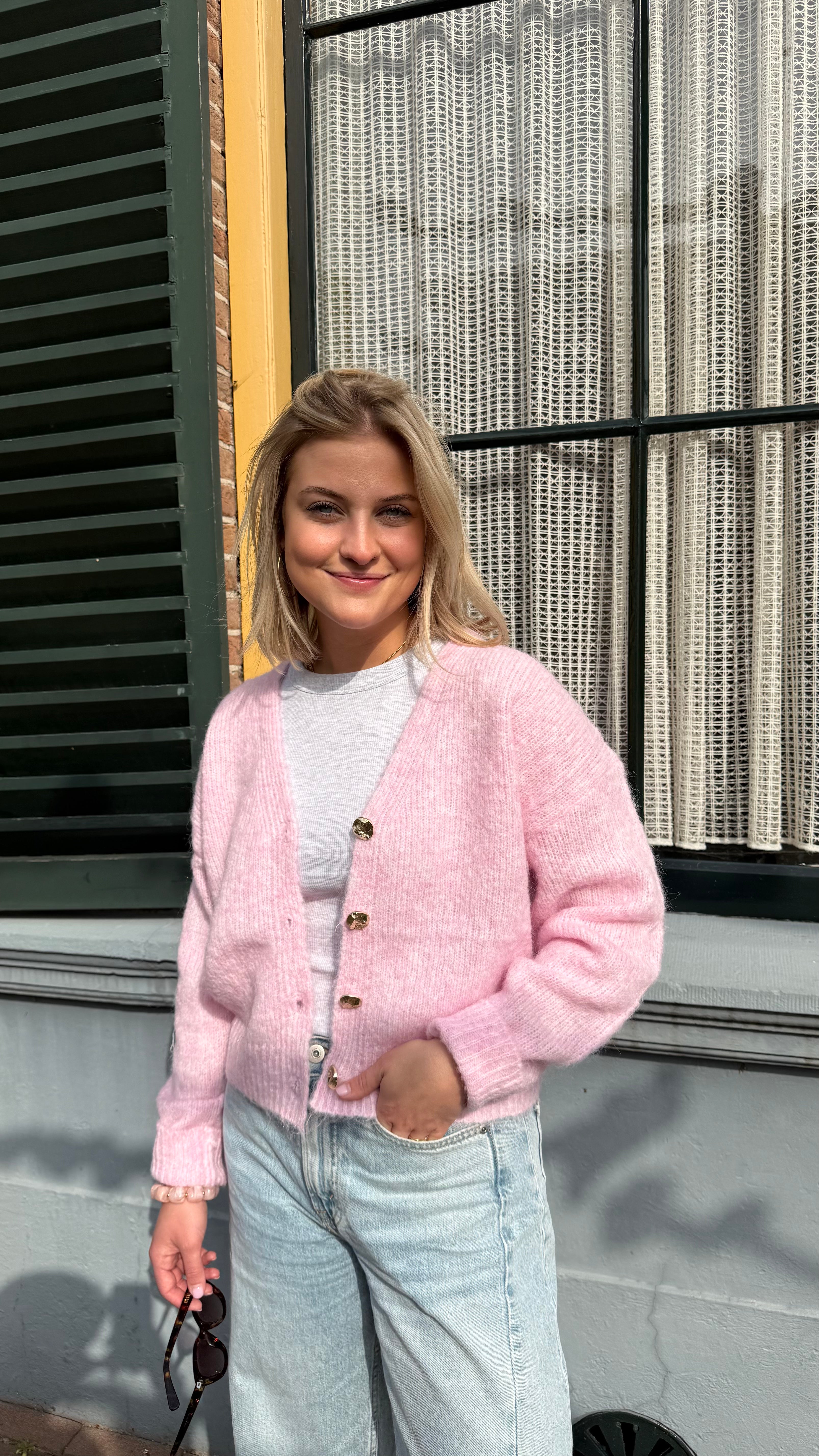 Vestje roze Lieve