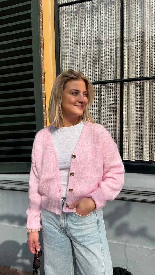 Vestje roze Lieve